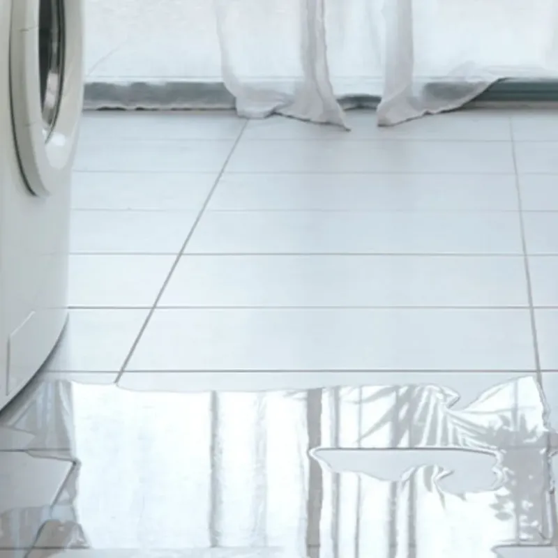 Appliance Leak Cleanup in Coarsegold, CA